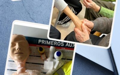 Formación Profesional Inicial (Básica) / Hasierako Lanbide Heziketa (Oinarrizkoa)