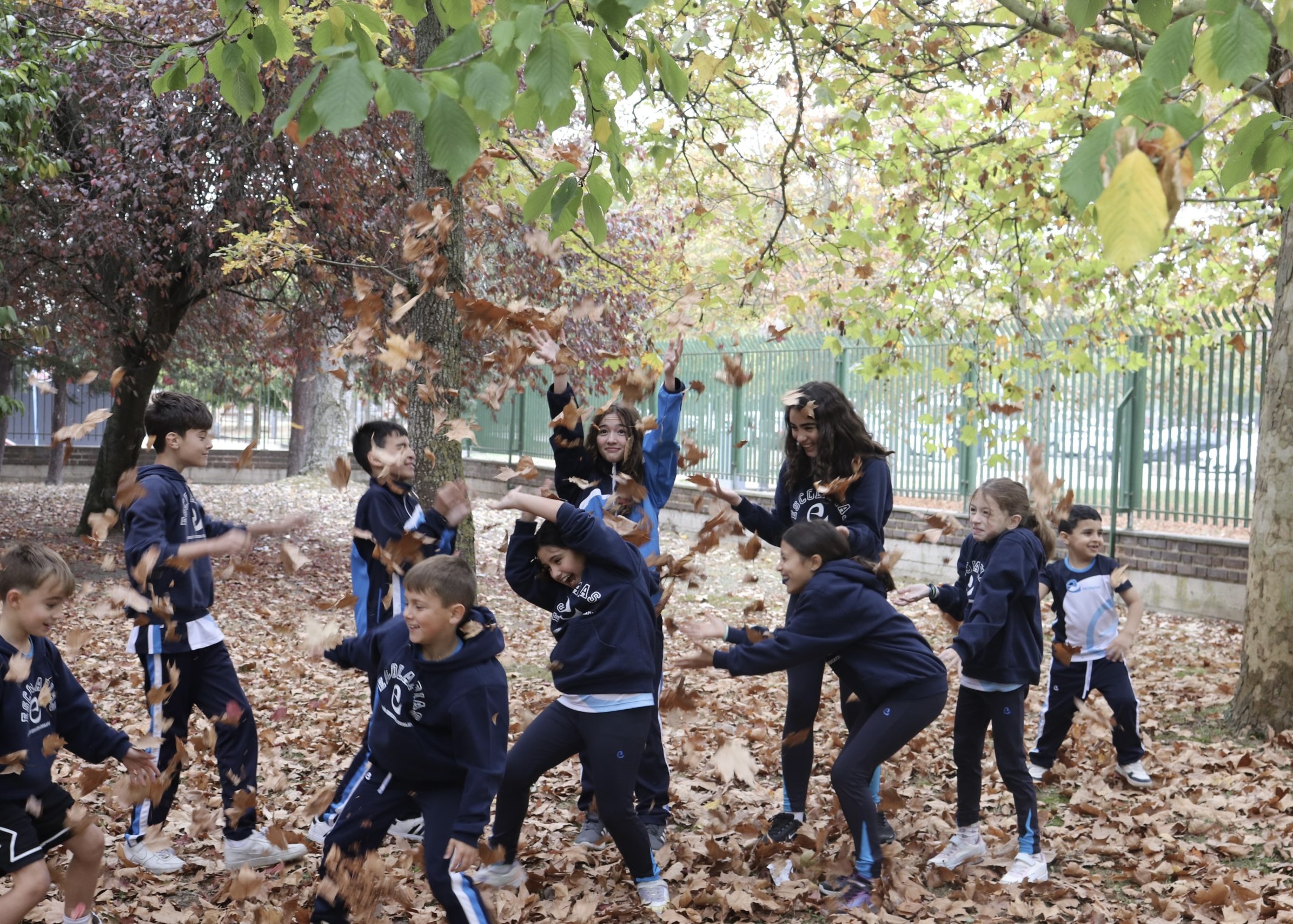 C6CDEFAF-E985-4971-AEF9-E5F3AB633F3A_1_201_a Educación Infantil Escolàpies Sabadell