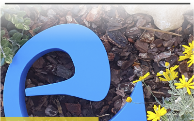 Fechas de matriculación curso 2026-27 INFANTIL-PRIMARIA-SECUNDARIA / 2026-27 ikasturteko matrikulazio-datak HAUR-LEHEN HEZKUNTZA/BIGARREN HEZKUNTZA