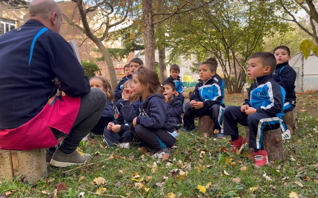 Actividades en el jardín / Lorategiko jarduerak